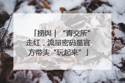 捞舆｜“青交所”走红，流量密码是官方带头“玩起来”