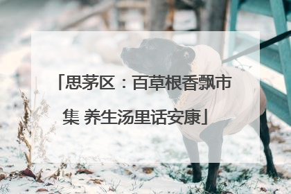 思茅区：百草根香飘市集 养生汤里话安康