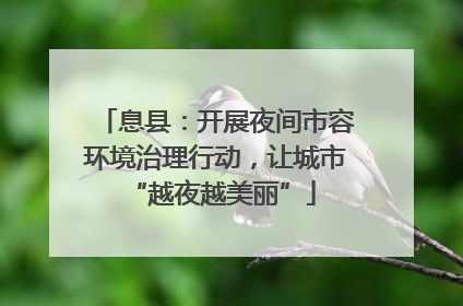 息县：开展夜间市容环境治理行动，让城市 “越夜越美丽”