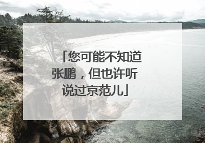 您可能不知道张鹏，但也许听说过京范儿