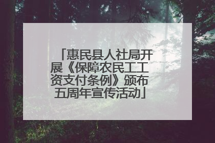 惠民县人社局开展《保障农民工工资支付条例》颁布五周年宣传活动
