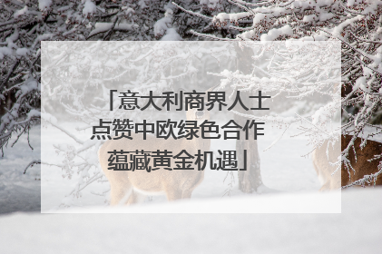 意大利商界人士点赞中欧绿色合作蕴藏黄金机遇