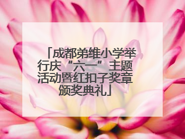 成都弟维小学举行庆“六一”主题活动暨红扣子奖章颁奖典礼