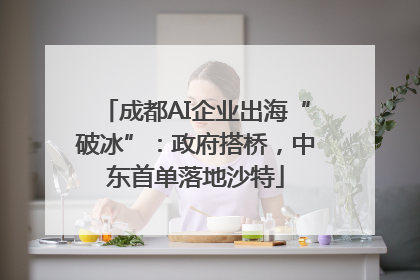 成都AI企业出海“破冰”：政府搭桥，中东首单落地沙特