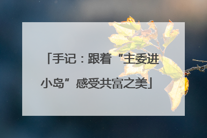 手记：跟着“主委进小岛”感受共富之美