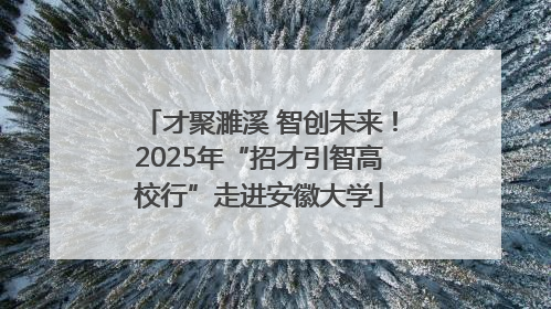 才聚濉溪 智创未来！2025年“招才引智高校行”走进安徽大学