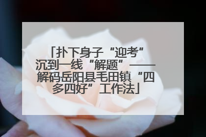 扑下身子“迎考” 沉到一线“解题”——解码岳阳县毛田镇“四多四好”工作法