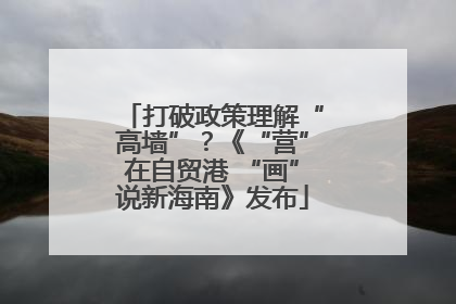 打破政策理解“高墙”？《“营”在自贸港 “画”说新海南》发布