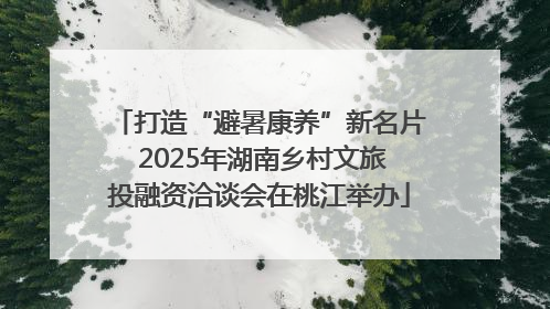 打造“避暑康养”新名片 2025年湖南乡村文旅投融资洽谈会在桃江举办