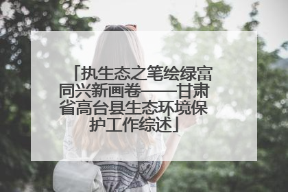 执生态之笔绘绿富同兴新画卷——甘肃省高台县生态环境保护工作综述