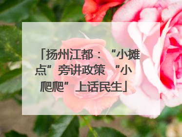 扬州江都：“小摊点”旁讲政策 “小爬爬”上话民生