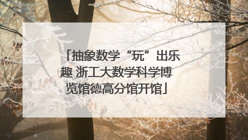 抽象数学“玩”出乐趣 浙工大数学科学博览馆德高分馆开馆