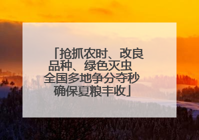 抢抓农时、改良品种、绿色灭虫 全国多地争分夺秒确保夏粮丰收