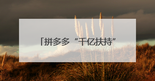 拼多多“千亿扶持”搭台，小鱼缸在电商西进中找到大商机