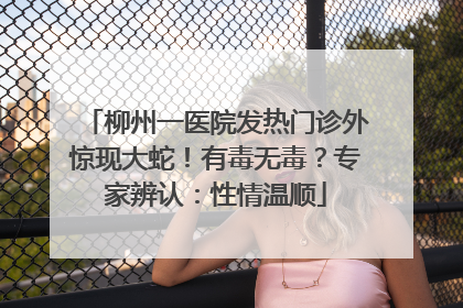柳州一医院发热门诊外惊现大蛇！有毒无毒？专家辨认：性情温顺
