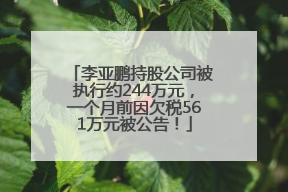 李亚鹏持股公司被执行约244万元，一个月前因欠税561万元被公告！