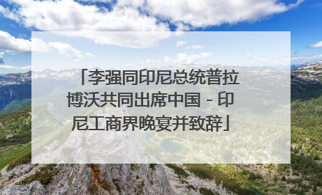 李强同印尼总统普拉博沃共同出席中国－印尼工商界晚宴并致辞