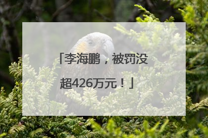 李海鹏，被罚没超426万元！