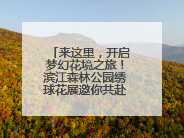 来这里，开启梦幻花境之旅！滨江森林公园绣球花展邀你共赴一场与云朵、花儿的浪漫之约