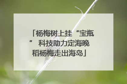 杨梅树上挂“宝瓶” 科技助力定海晚稻杨梅走出海岛