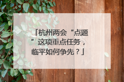 杭州两会“点题”这项重点任务，临平如何争先？
