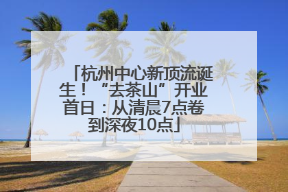 杭州中心新顶流诞生！“去茶山”开业首日：从清晨7点卷到深夜10点