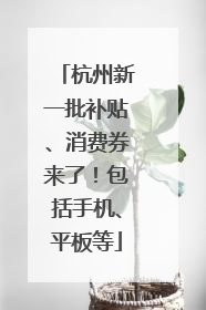 杭州新一批补贴、消费券来了！包括手机、平板等