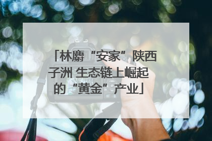 林麝“安家”陕西子洲 生态链上崛起的“黄金”产业