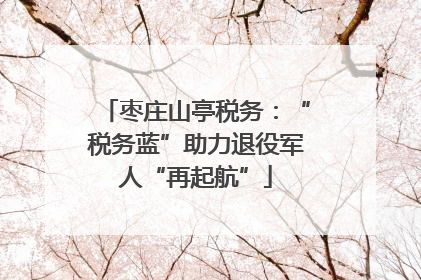 枣庄山亭税务：“税务蓝”助力退役军人“再起航”