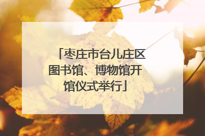 枣庄市台儿庄区图书馆、博物馆开馆仪式举行