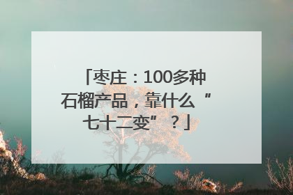 枣庄：100多种石榴产品，靠什么“七十二变”？