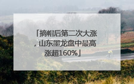摘帽后第二次大涨，山东墨龙盘中最高涨超160%