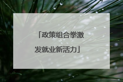 政策组合拳激发就业新活力