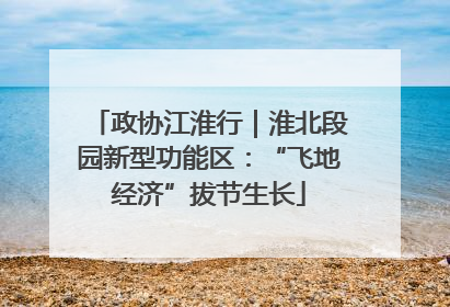 政协江淮行｜淮北段园新型功能区：“飞地经济”拔节生长