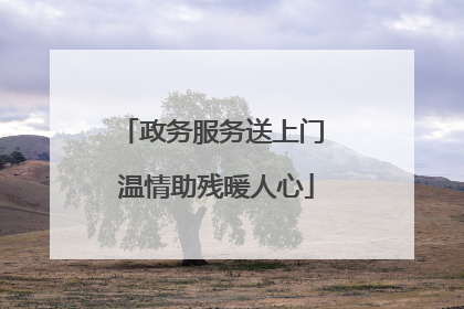 政务服务送上门 温情助残暖人心