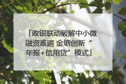 政银联动破解中小微融资难题 金塘创新“年报+信用贷”模式