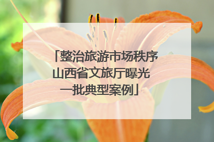 整治旅游市场秩序 山西省文旅厅曝光一批典型案例