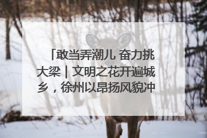 敢当弄潮儿 奋力挑大梁｜文明之花开遍城乡，徐州以昂扬风貌冲刺“万亿之城”