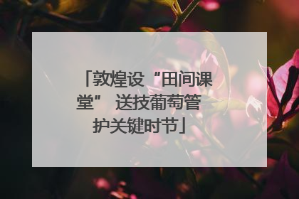 敦煌设“田间课堂” 送技葡萄管护关键时节