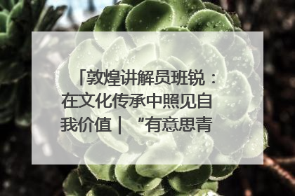 敦煌讲解员班锐：在文化传承中照见自我价值｜“有意思青年”高校公益计划