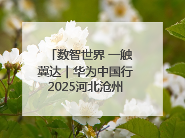 数智世界 一触冀达｜华为中国行2025河北沧州新质生产力峰会成功举办