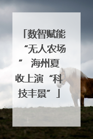 数智赋能“无人农场” 海州夏收上演“科技丰景”