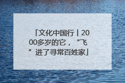 文化中国行丨2000多岁的它，“飞”进了寻常百姓家