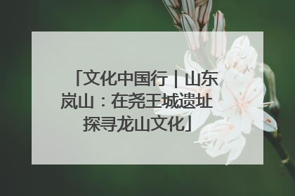 文化中国行｜山东岚山：在尧王城遗址探寻龙山文化