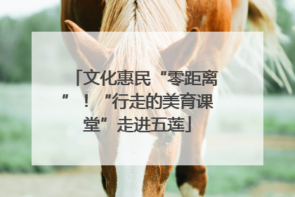 文化惠民“零距离”！“行走的美育课堂”走进五莲