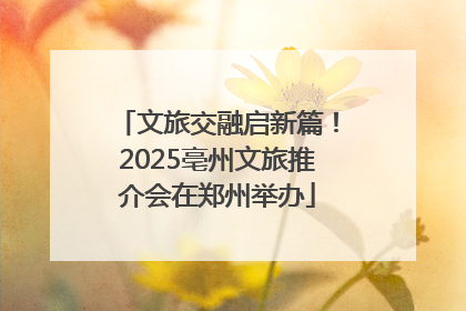 文旅交融启新篇！2025亳州文旅推介会在郑州举办