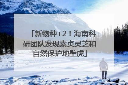 新物种+2！海南科研团队发现素贞灵芝和自然保护地壁虎