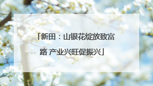 新田：山银花绽放致富路 产业兴旺促振兴