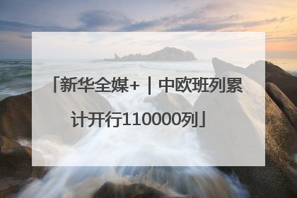 新华全媒+｜中欧班列累计开行110000列
