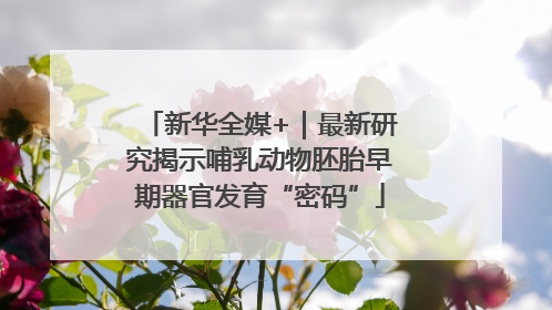 新华全媒+｜最新研究揭示哺乳动物胚胎早期器官发育“密码”
